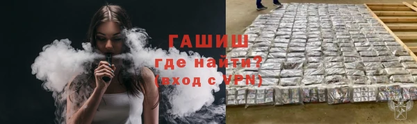 гашик Алексеевка