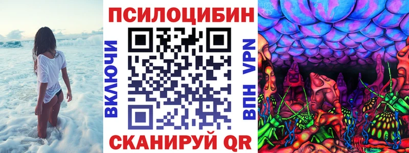 МЕГА ссылки  Бийск  Псилоцибиновые грибы Psilocybe 
